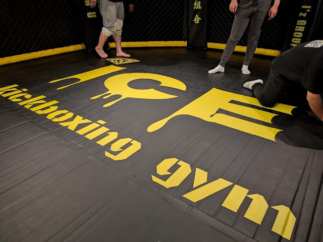 Dollamur総合格闘技ケージ MMA BJJ K-1 ムエタイ 購入 | ダッシュ