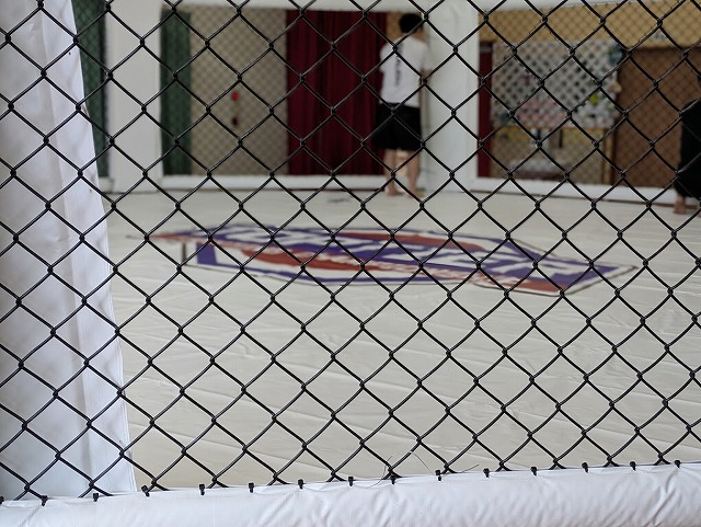 格闘技MMAケージ